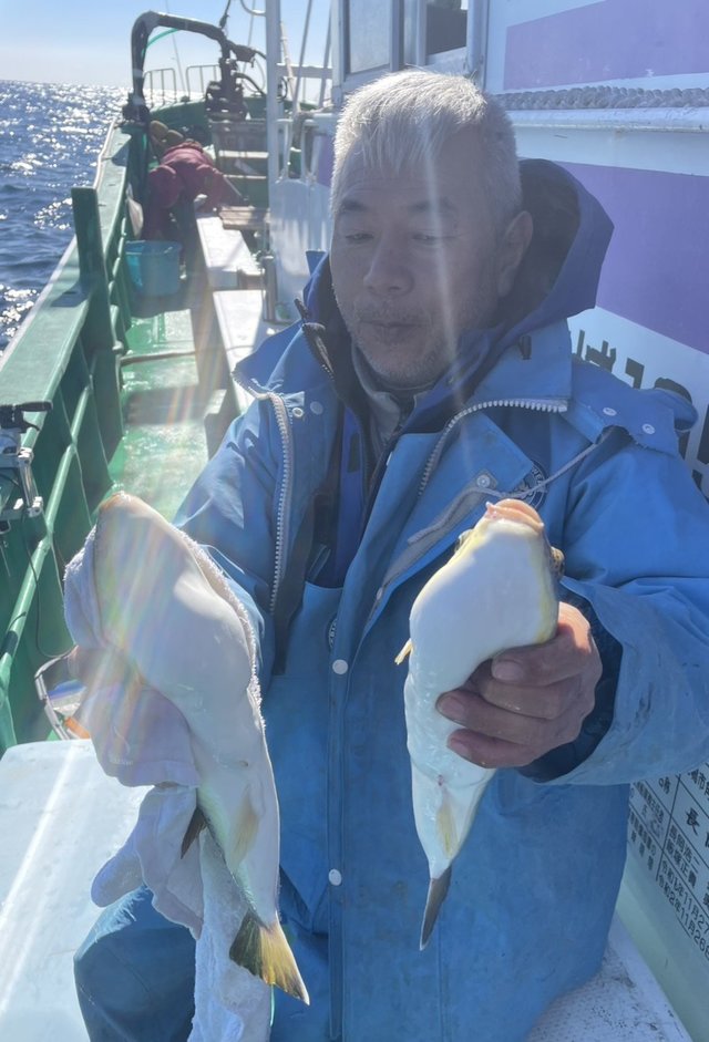 ショウサイフグ