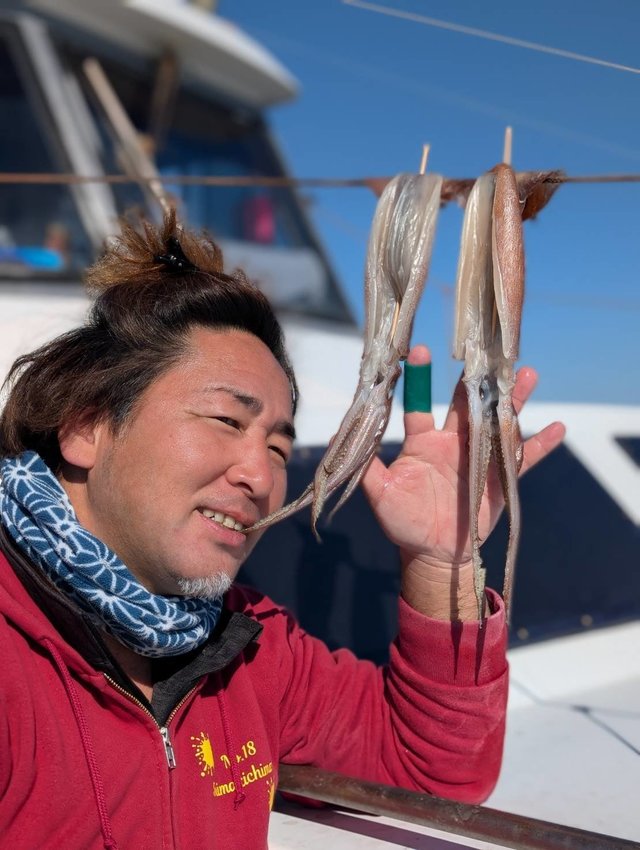 スルメ(スルメイカ)