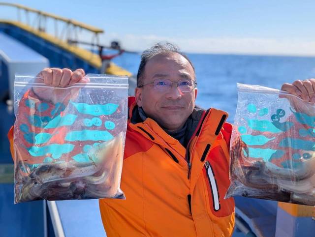 スルメ(スルメイカ)