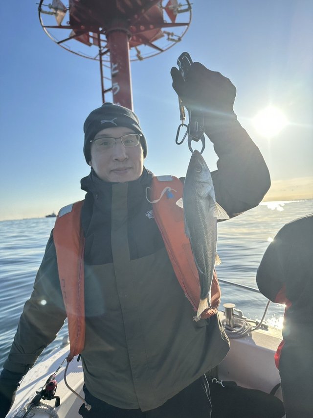 シーバス(スズキ)