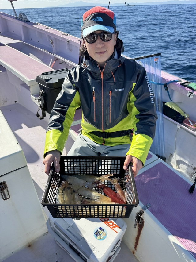 マルイカ(ケンサキイカ)