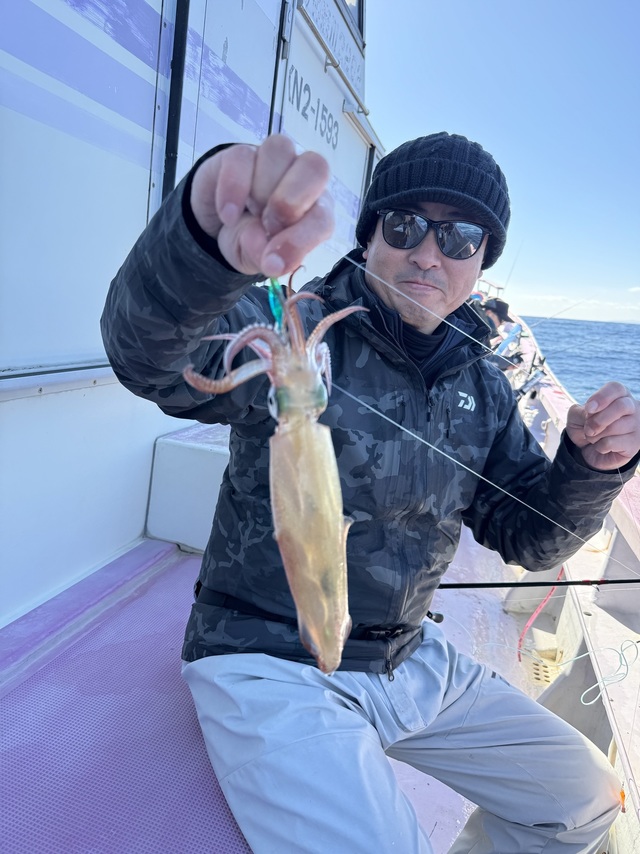 マルイカ(ケンサキイカ)