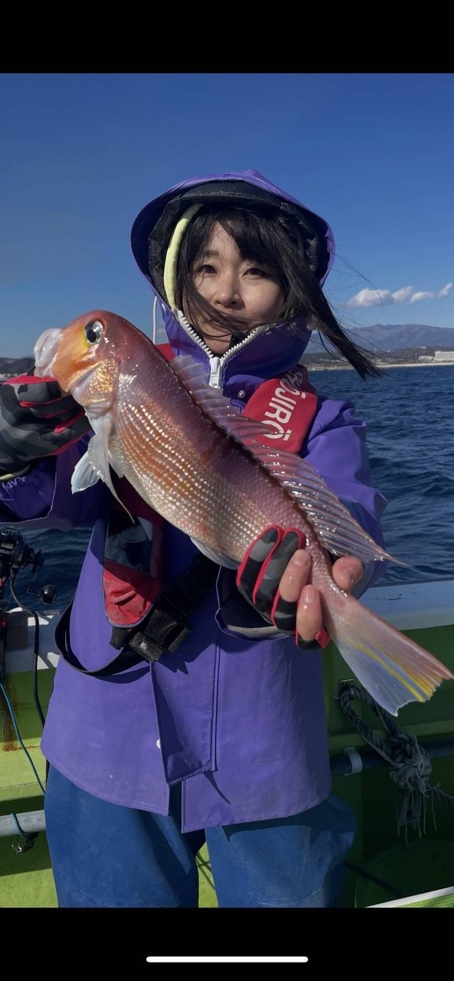 アマダイ(アカアマダイ)