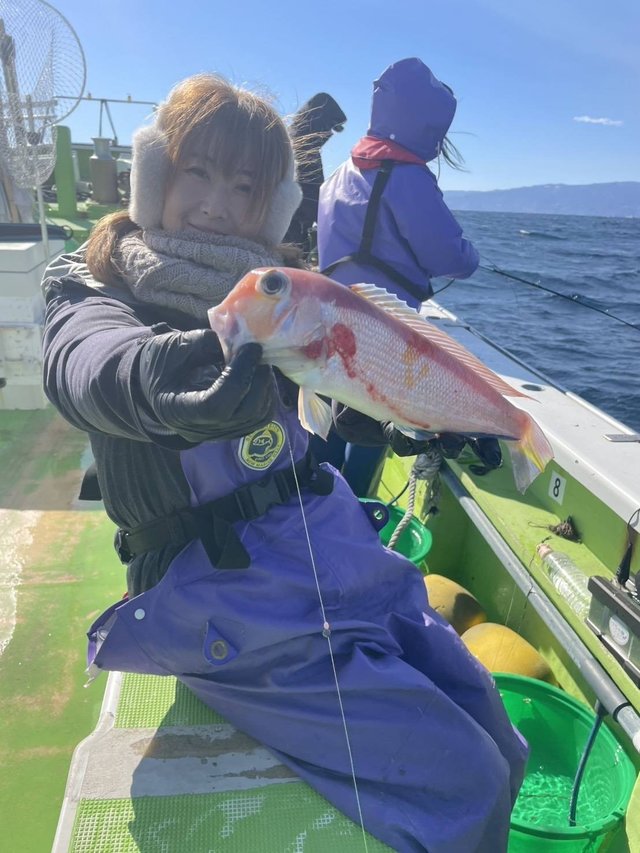 アマダイ(アカアマダイ)