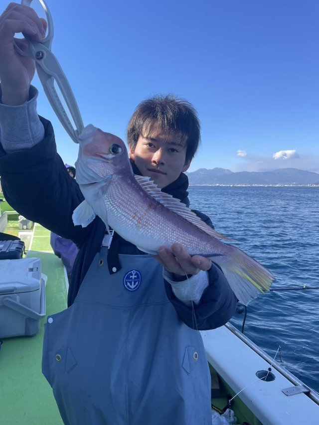 アマダイ(アカアマダイ)