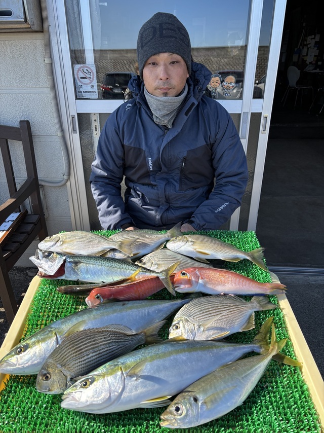 ヘダイ・イナダ(ブリ)