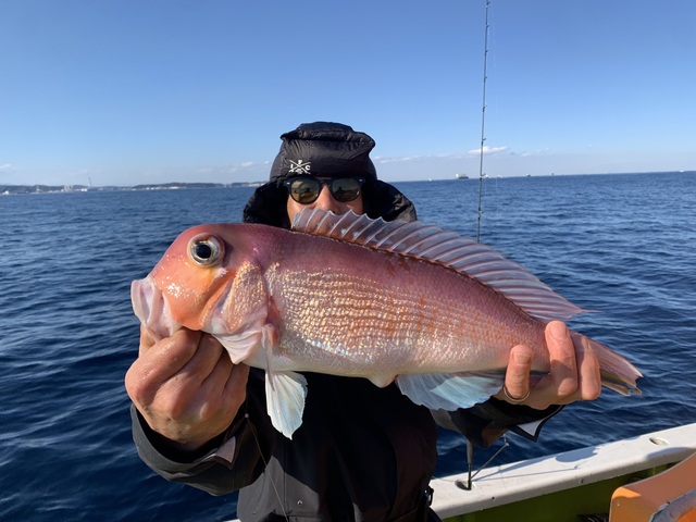 アマダイ(アカアマダイ)