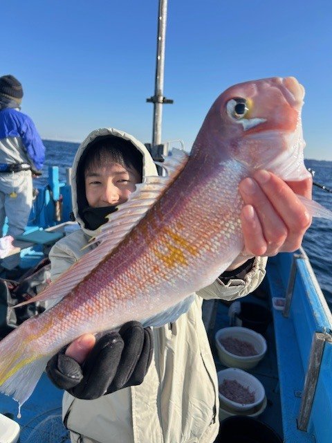 アマダイ(アカアマダイ)