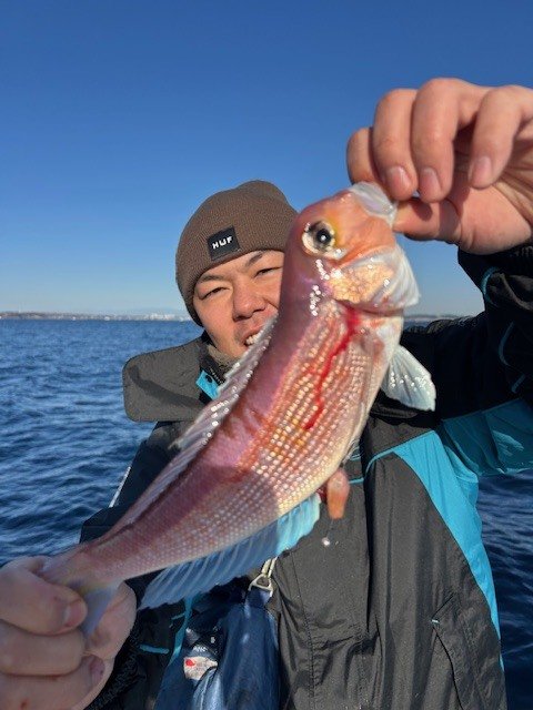 アマダイ(アカアマダイ)