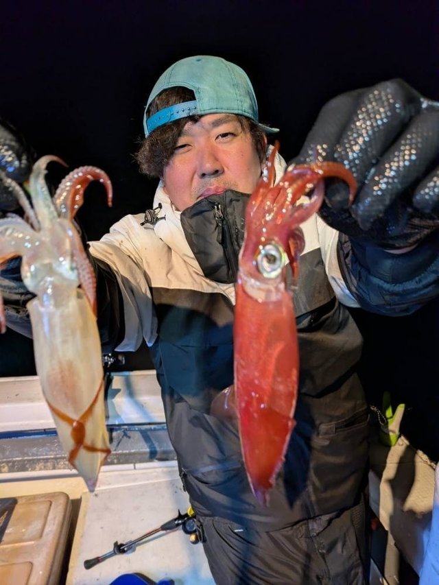 マルイカ(ケンサキイカ)