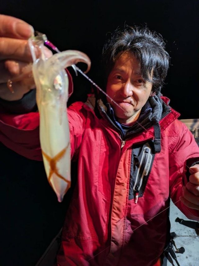 マルイカ(ケンサキイカ)