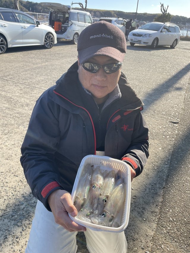 マルイカ(ケンサキイカ)