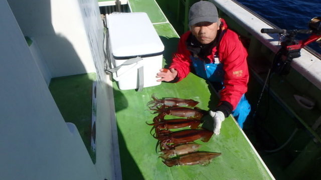 ヤリイカ・スルメイカ