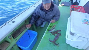 ヤリイカ・スルメイカ