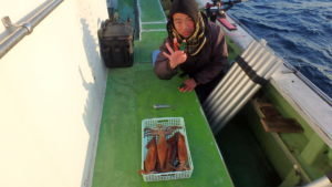 ヤリイカ・スルメイカ