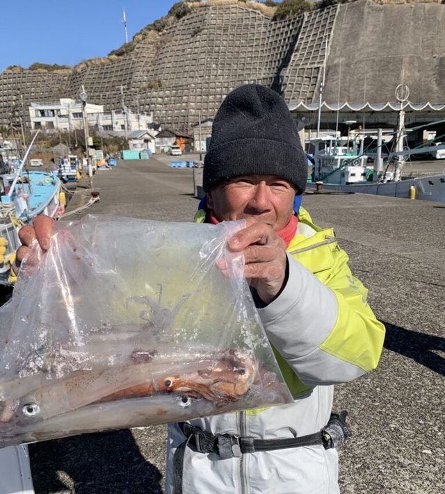 ヤリイカ・スルメ(スルメイカ)