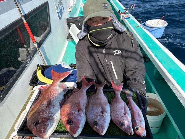 マダイ・アマダイ(アカアマダイ)