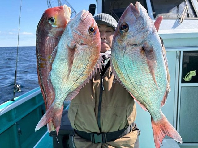 マダイ・アマダイ(アカアマダイ)