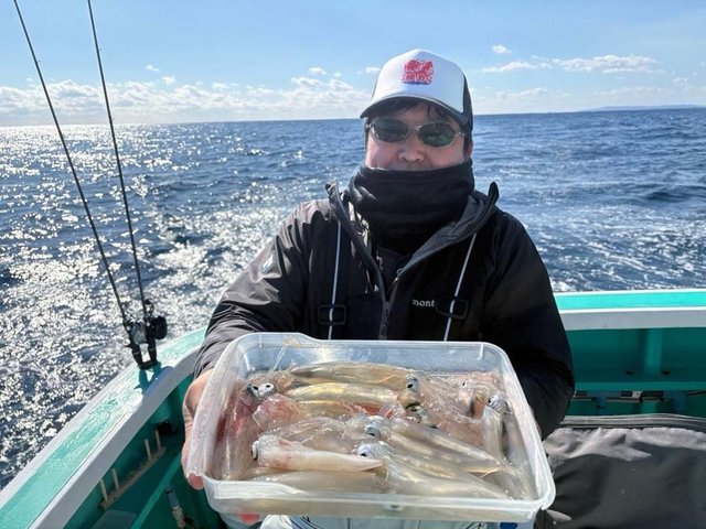 マルイカ(ケンサキイカ)