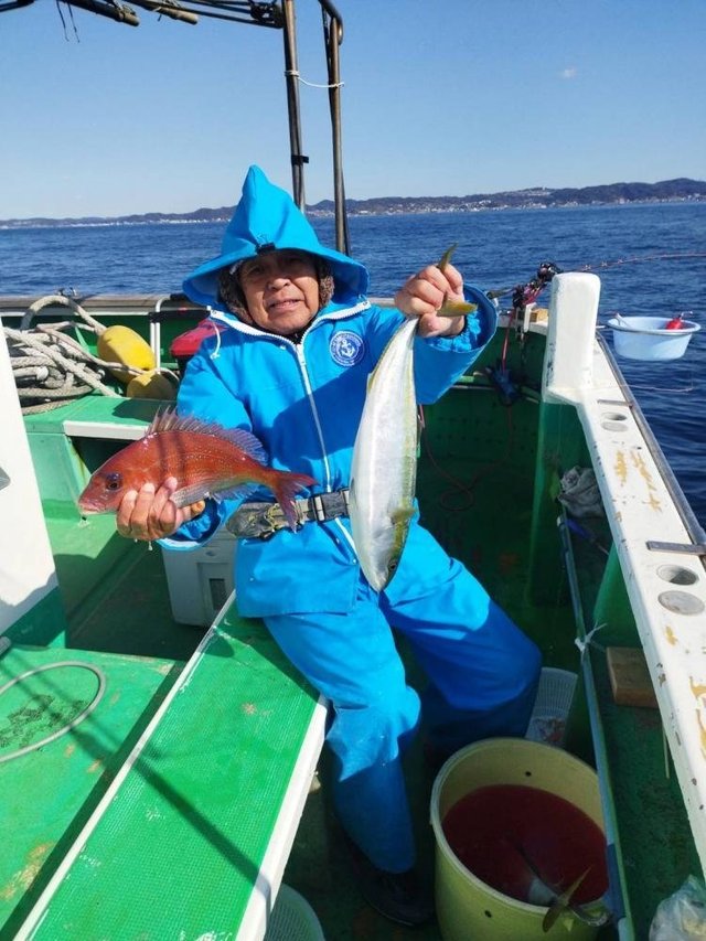 マダイ・イナダ(ブリ)