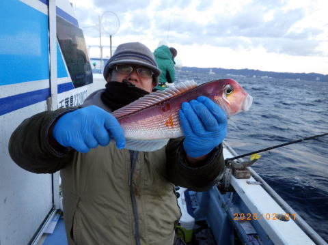 アマダイ(アカアマダイ)