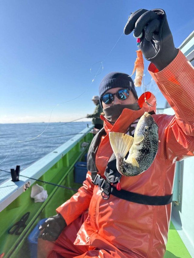 フグ(ショウサイフグ)