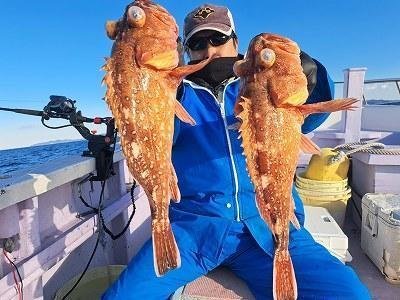 オキカサゴ(ウッカリカサゴ)