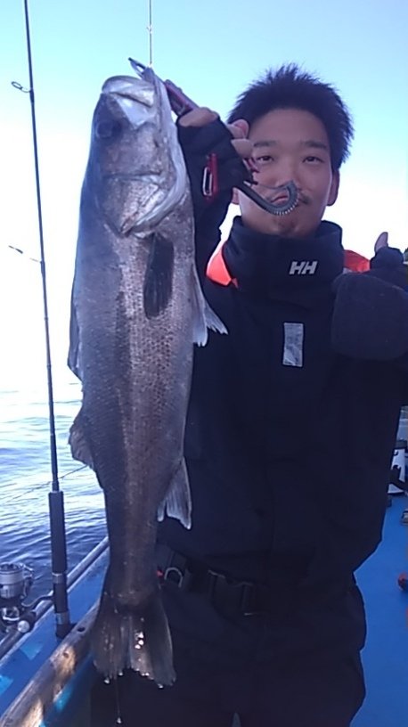 シーバス(スズキ)