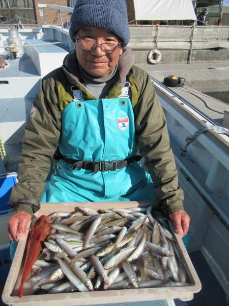 シロギス・ホウボウ