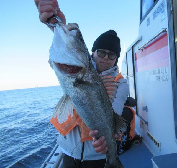 シーバス(スズキ)