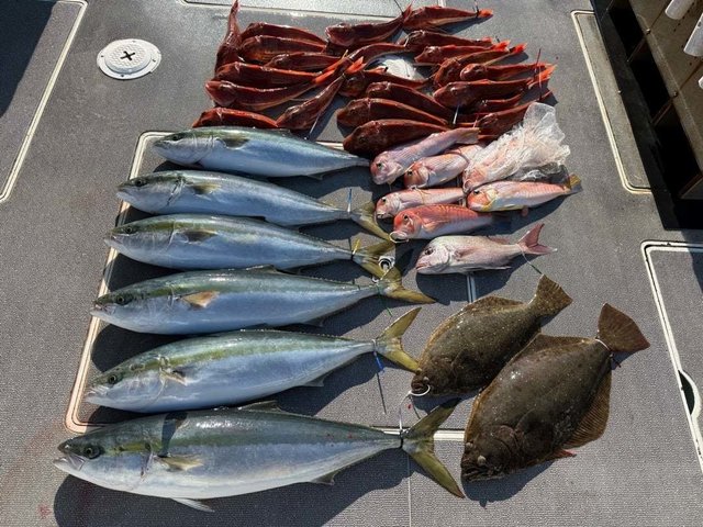 マダイ・ハマチ(ブリ)・アマダイ(アカアマダイ)・ホウボウ・ヒラメ