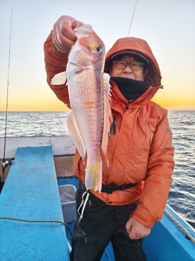 アマダイ(アカアマダイ)