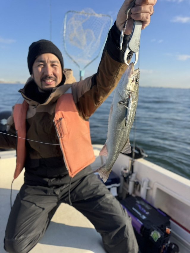 シーバス(スズキ)