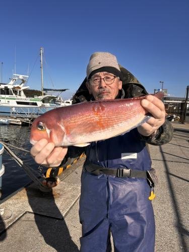 アマダイ(アカアマダイ)