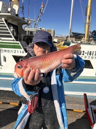 アマダイ(アカアマダイ)