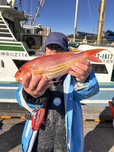 アマダイ(アカアマダイ)