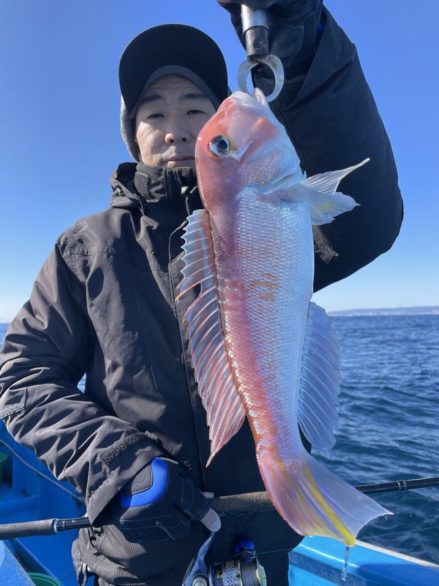 アマダイ(アカアマダイ)