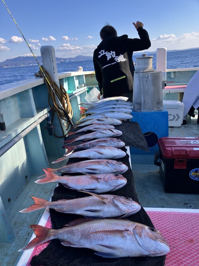 マダイ・イナダ(ブリ)