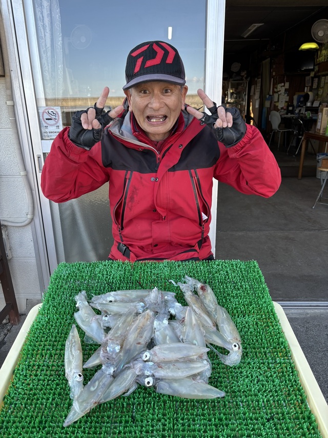 マルイカ(ケンサキイカ)