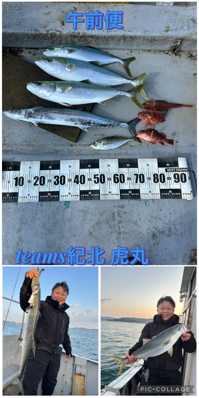 アジ(マアジ)・ハマチ(ブリ)・メジロ(ブリ)・サワラ・ガシラ(カサゴ)・ホウボウ