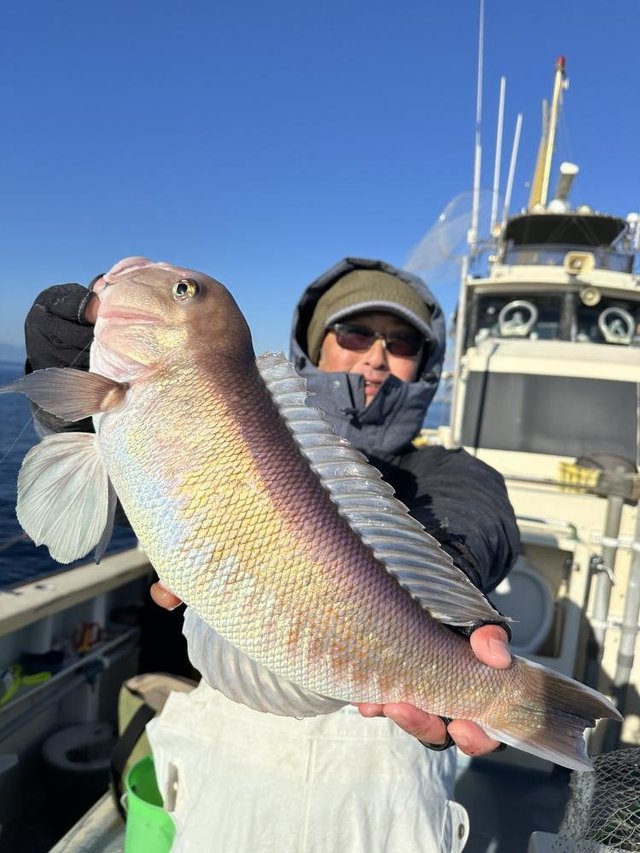 アマダイ(アカアマダイ)