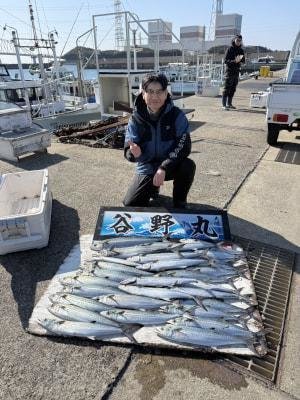 サゴシ(サワラ)