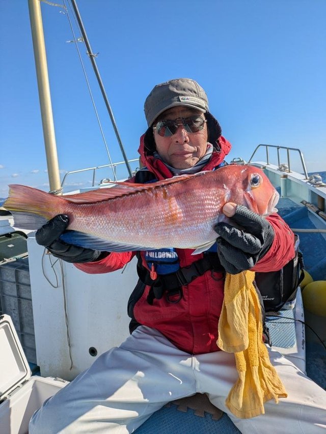 アマダイ(アカアマダイ)