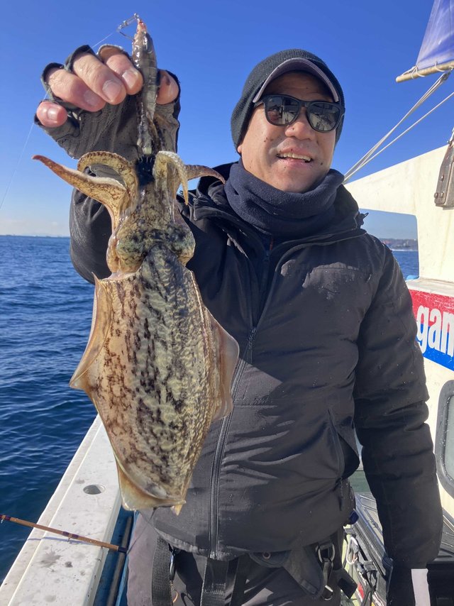 スミイカ(コウイカ)