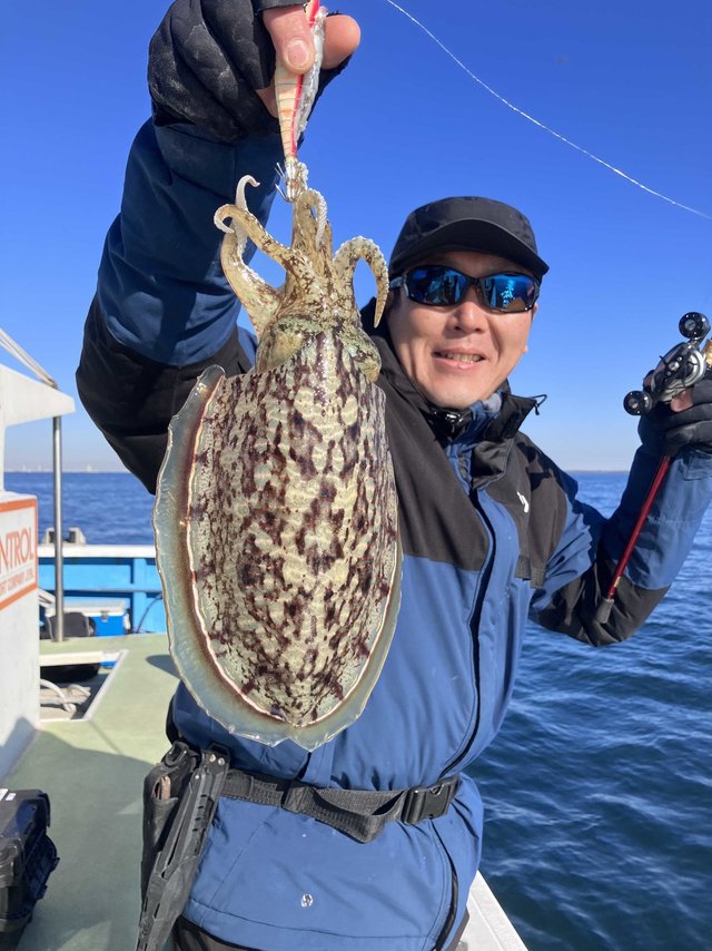 スミイカ(コウイカ)