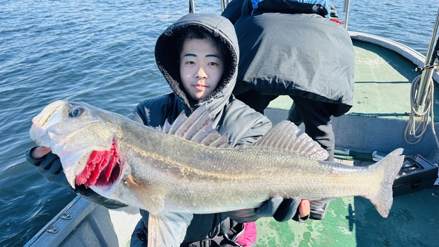 シーバス(スズキ)