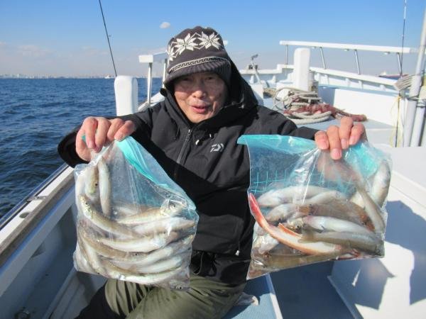 シロギス・ホウボウ