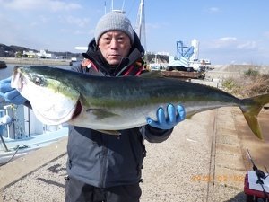 ワラサ(ブリ)