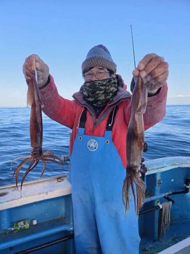 イカ(ケンサキイカ)