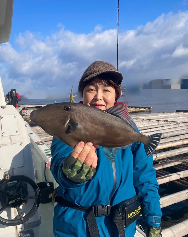 ウマズラハギ(ウマヅラハギ)